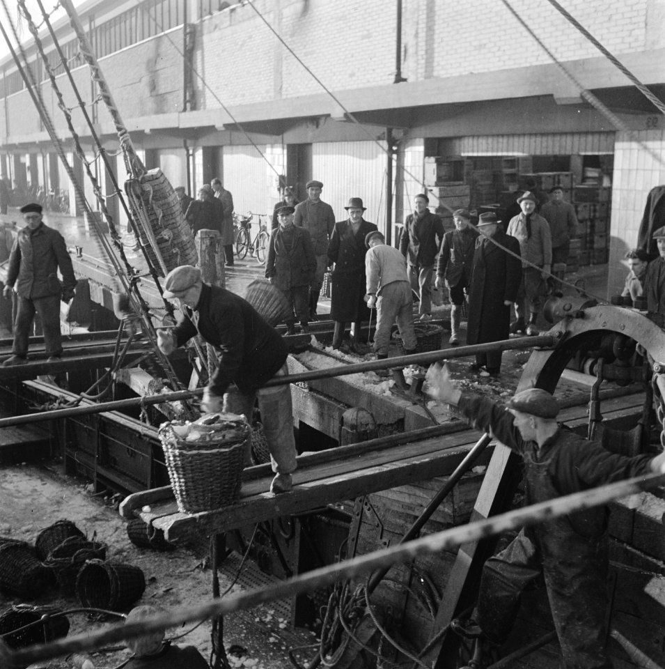 Visafslag IJmuiden, Bestanddeelnr 901-3845