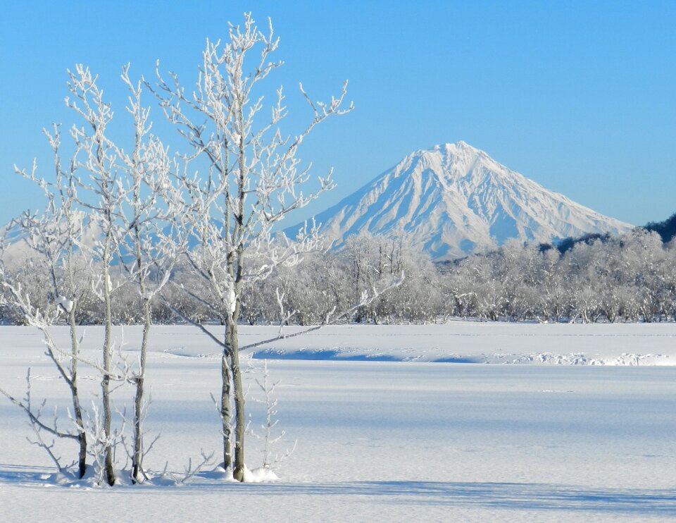 Frost leann mist photo