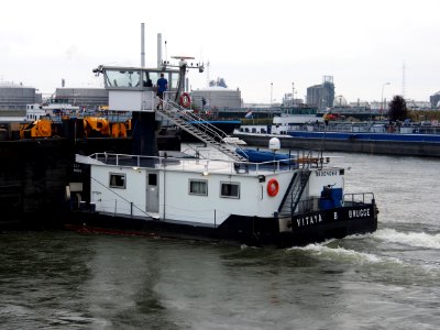 Vitaya - ENI 06004068, Van Cauwelaertsluis, Port of Antwerp pic1
