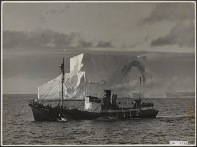 Visserij Walvisvangst, Bestanddeelnr 036-0155