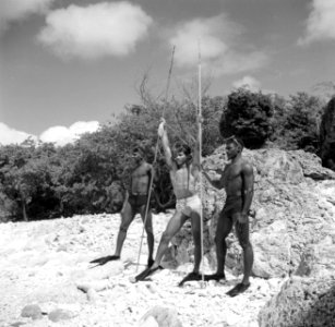 Vissers met speren aan de Sint Michielsbaai aan de Zuidkust van Curaçao, Bestanddeelnr 252-7517
