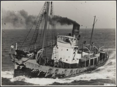 Visserij Walvisvangst, Bestanddeelnr 036-0170