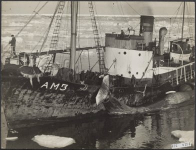 Visserij Walvisvangst Reeks 036-0154 tm 036-0160, Bestanddeelnr 036-0154