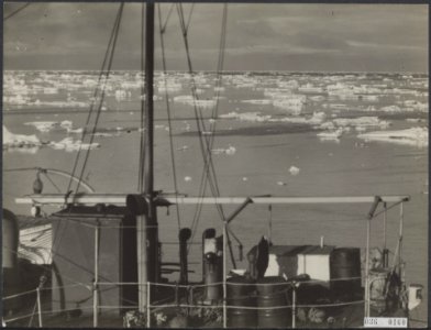Visserij Walvisvangst, Bestanddeelnr 036-0160
