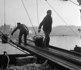 Visafslag IJmuiden, Bestanddeelnr 901-3843