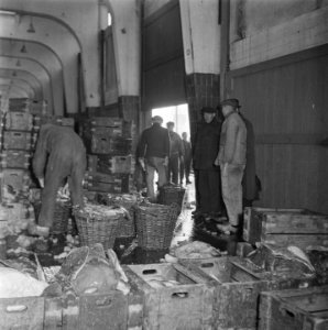 Visafslag IJmuiden, Bestanddeelnr 901-3853
