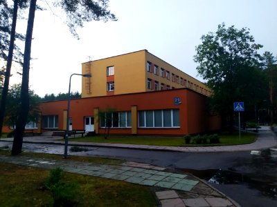 Visagino Verdenės gimnazija