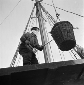 Visafslag IJmuiden, Bestanddeelnr 901-3844