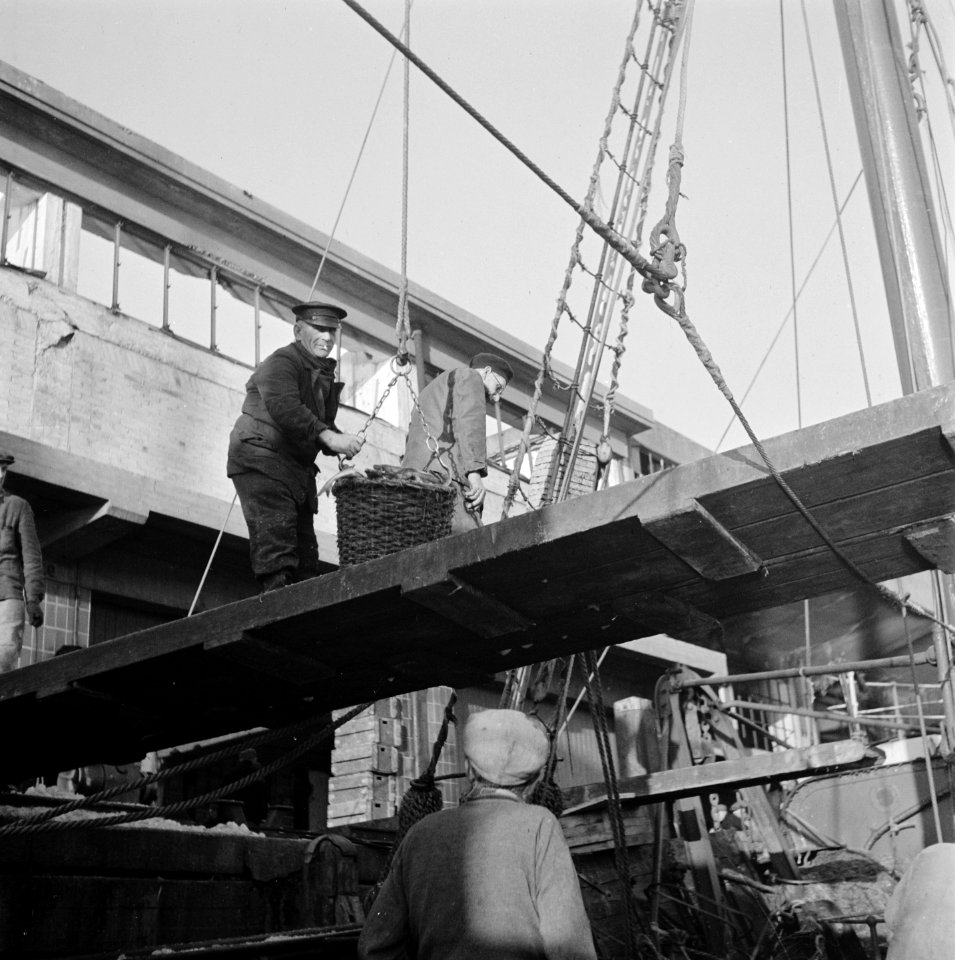 Visafslag IJmuiden, Bestanddeelnr 901-3854