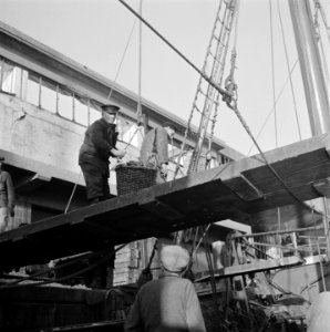 Visafslag IJmuiden, Bestanddeelnr 901-3854