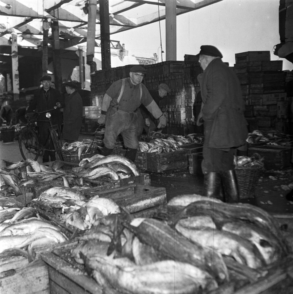 Visafslag IJmuiden, Bestanddeelnr 901-3847
