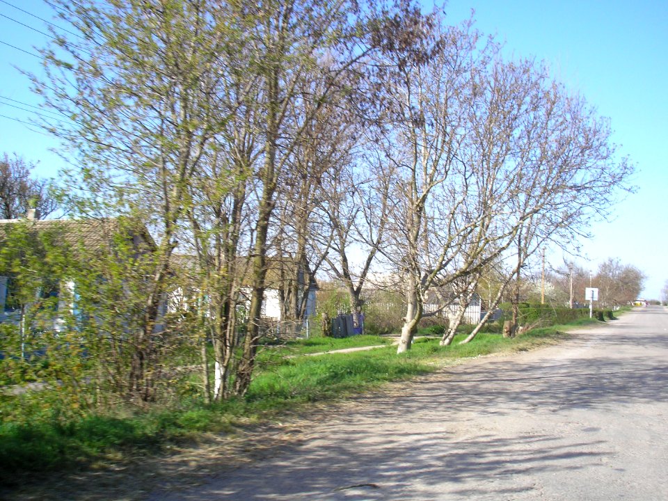 VishnyovkaCr 22
