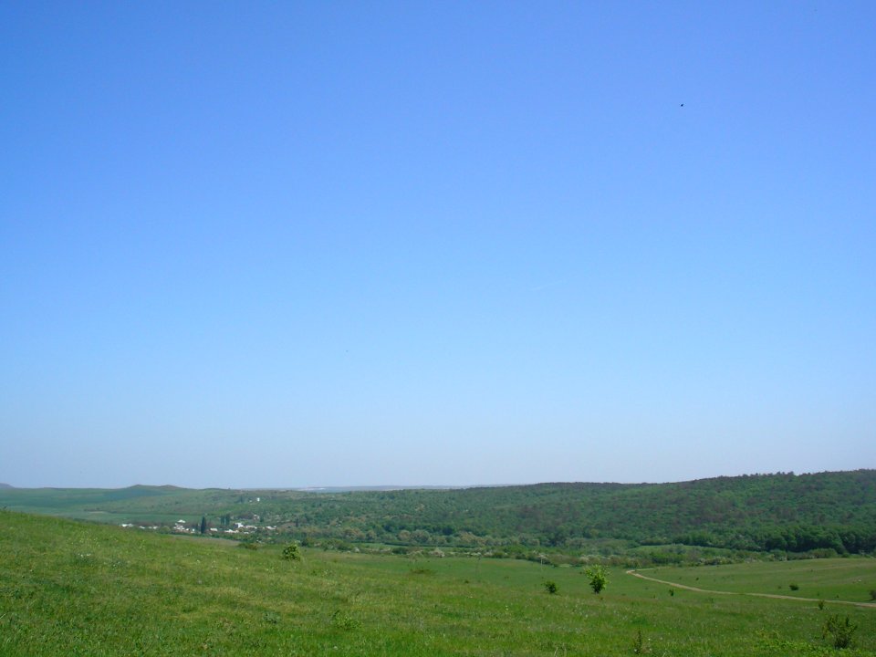 VishnyovoeBelogorsk 1