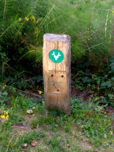 Vitoria - Balsas de Salburua 16