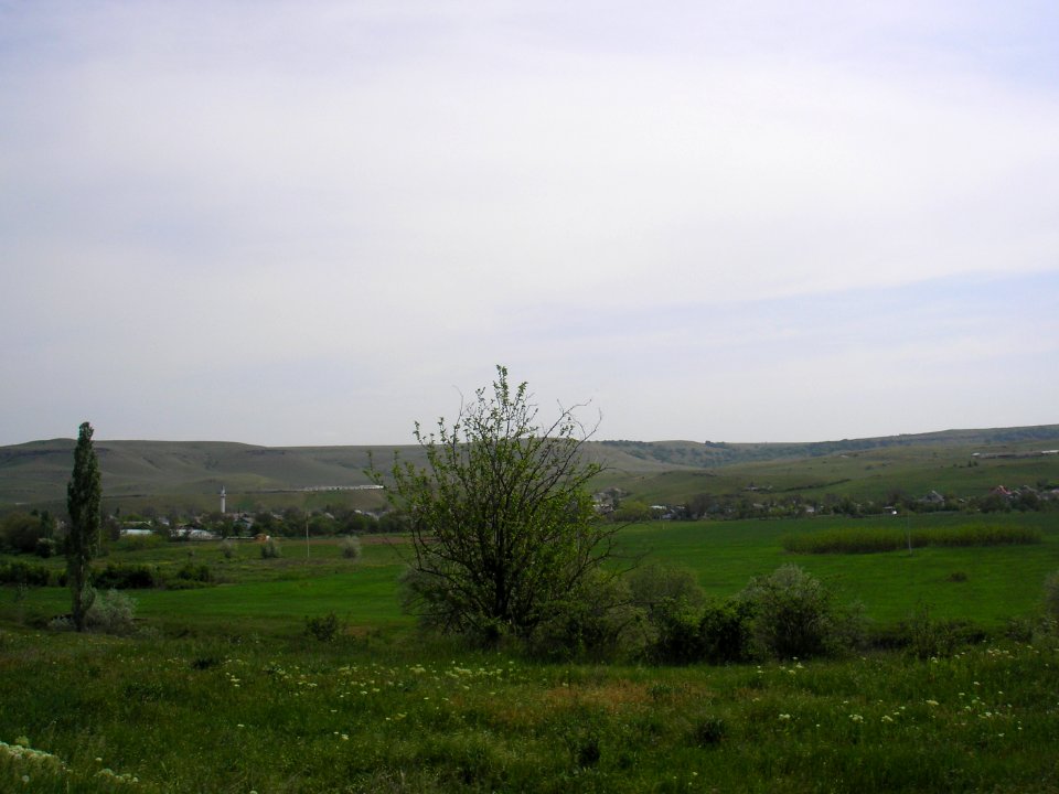 Vishennoe Belogorsk 5
