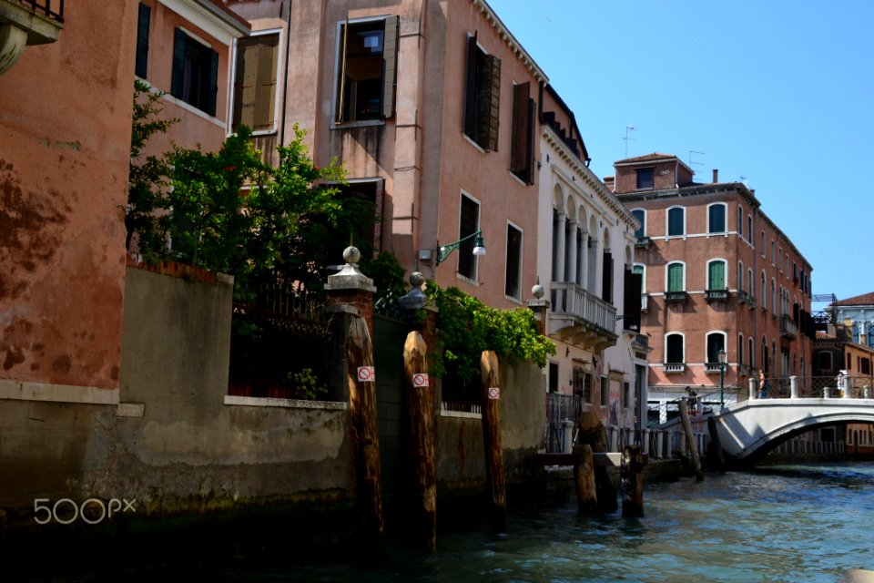 Venice Is My Future (161267615)