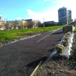 Vitoria - barrio de Lakuabizkarra, huerto urbano LakuaKoLore 2