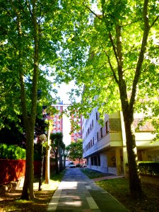 Vitoria - Barrio de Txagorritxu