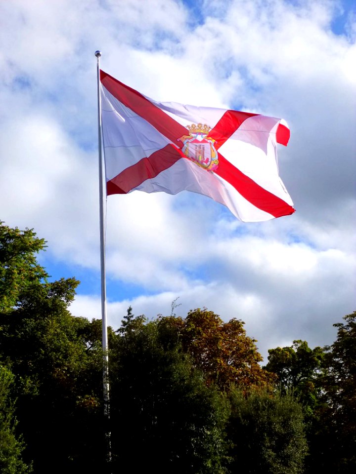 Vitoria - Bandera de Vitoria 3