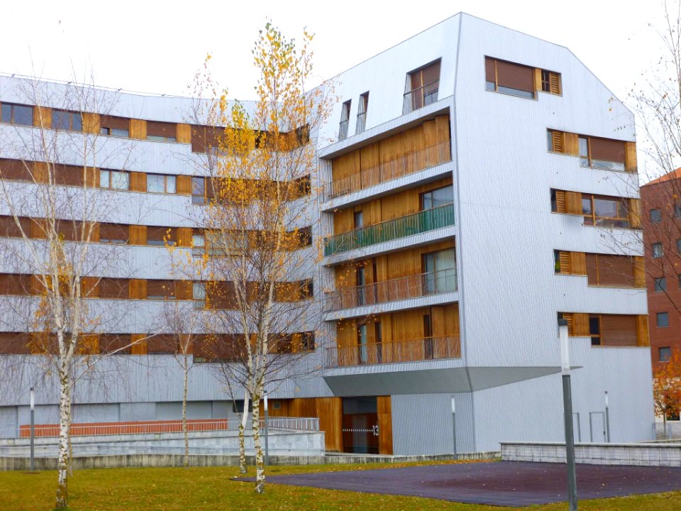 Vitoria - Barrio de Zabalgana Norte, Avenida de la Reina Sofía 96-98 (3)