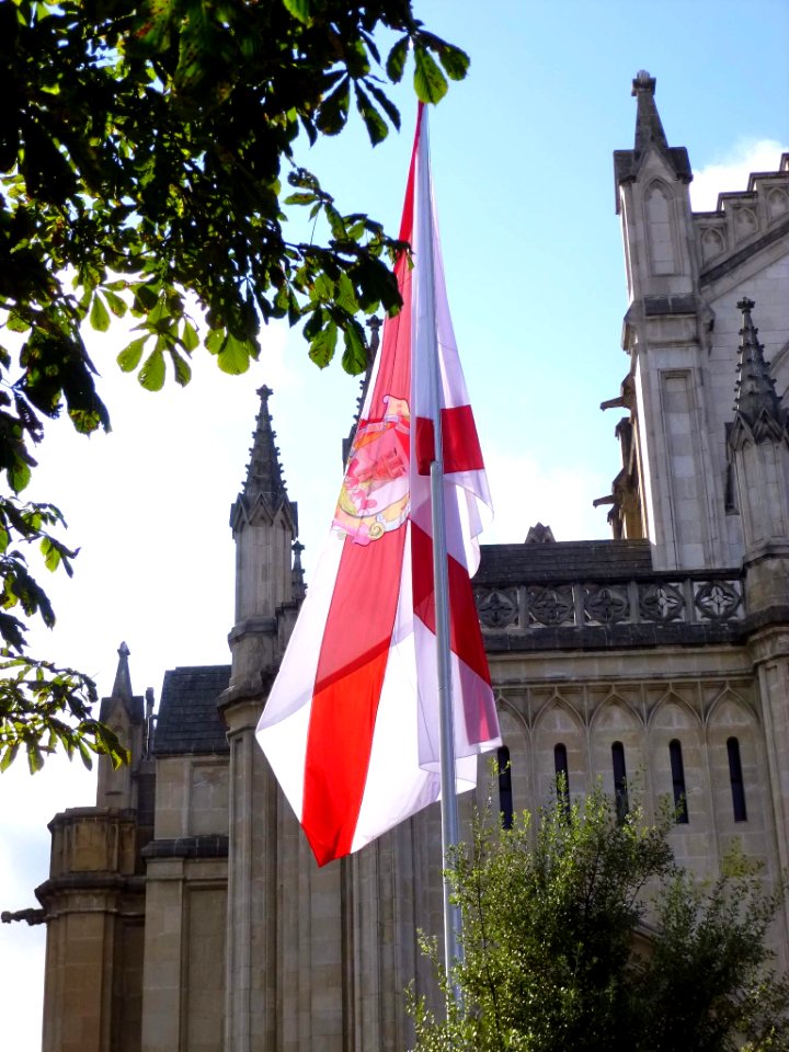 Vitoria - Bandera de Vitoria 2