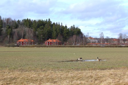 Vita villorna, Botkyrka