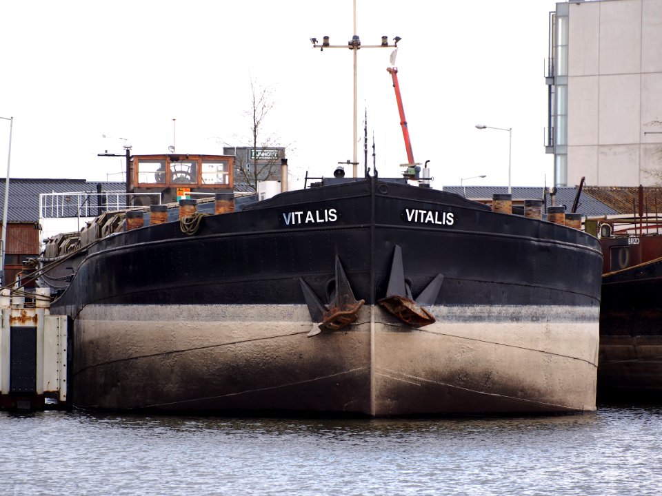 Vitalis (ship, 1930) Port of Amsterdam