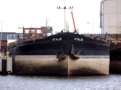 Vitalis (ship, 1930) Port of Amsterdam