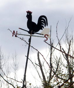 Vitoria - Ali 5