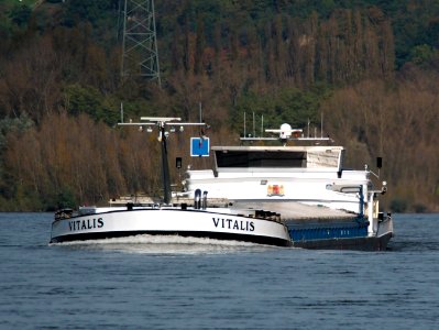 Vitalis, ENI 02330760 on the Rhine river at Koblenz at the Deutches Eck, pic2