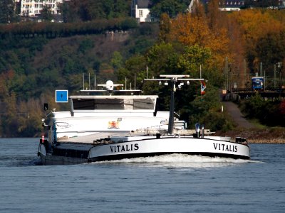 Vitalis, ENI 02330760 on the Rhine river at Koblenz at the Deutches Eck, pic1