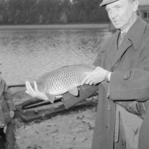 Visserij, viskwekerijen, afvissen, karpers, Bestanddeelnr 164-0457
