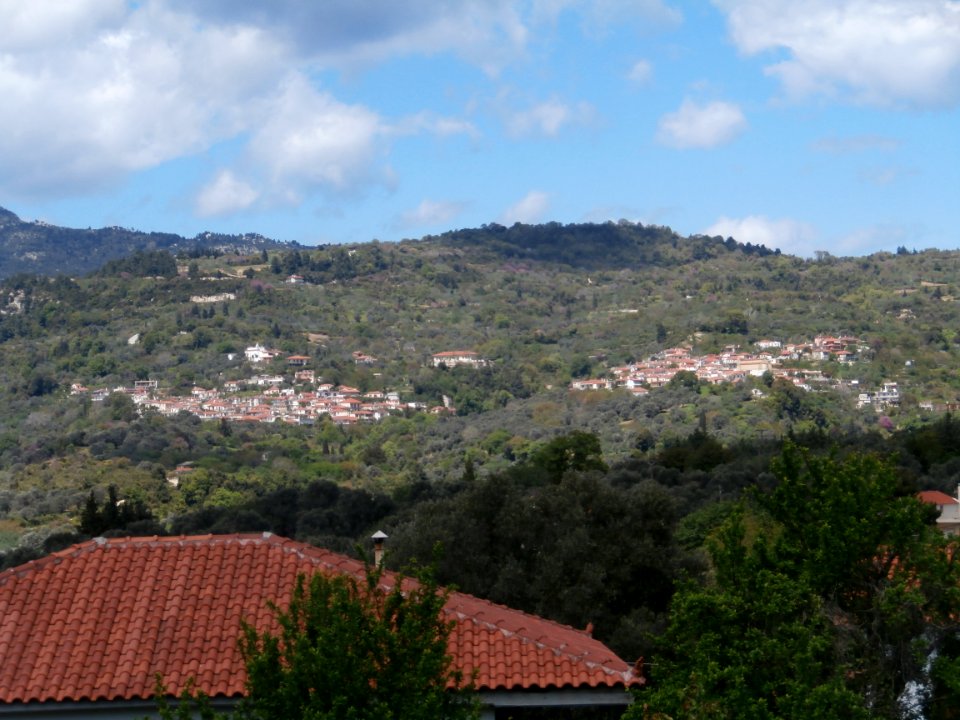 Vitala 4182419