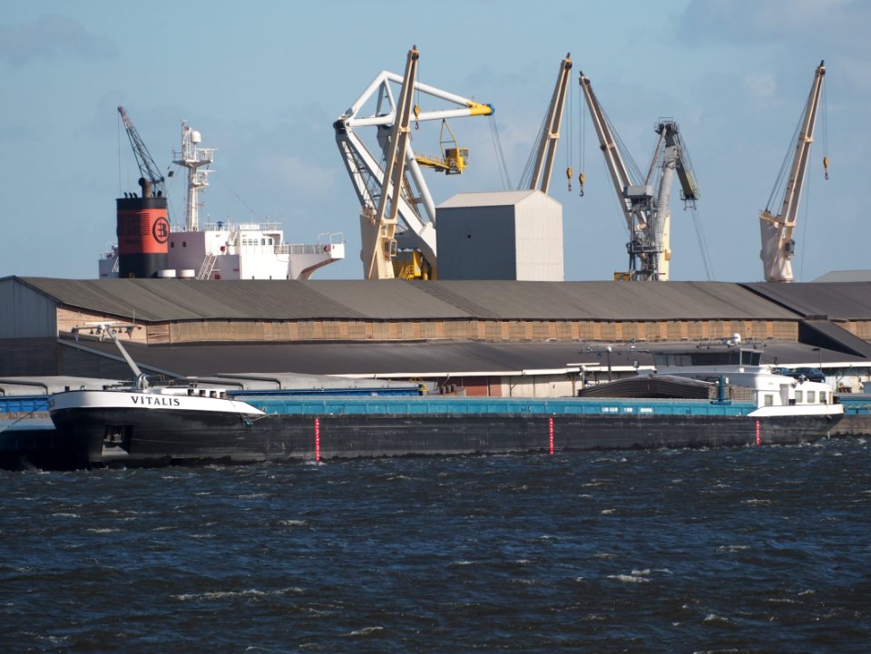Vitalis, ENI 02330760, Port of Amsterdam