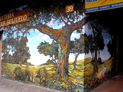Vitoria - Graffiti & Murals 0417 04