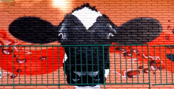 Vitoria - Graffiti & Murals 0879