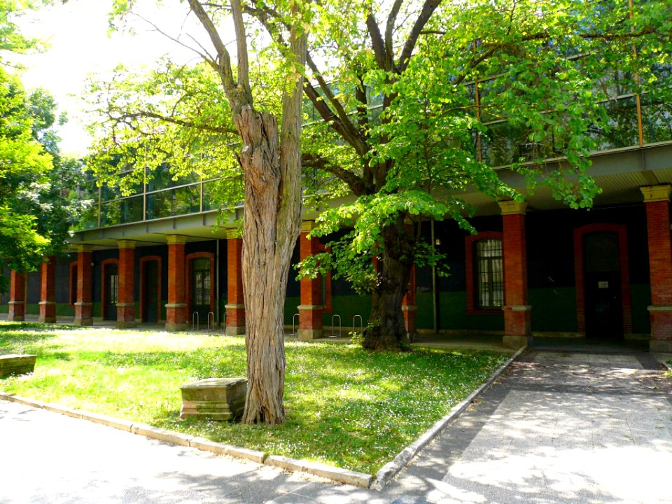 Vitoria - Campus Universitario de Álava, Escuela Universitaria de Estudios Empresariales (antiguo Hospital Militar) 9