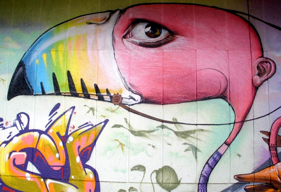 Vitoria - Graffiti & Murals 0290