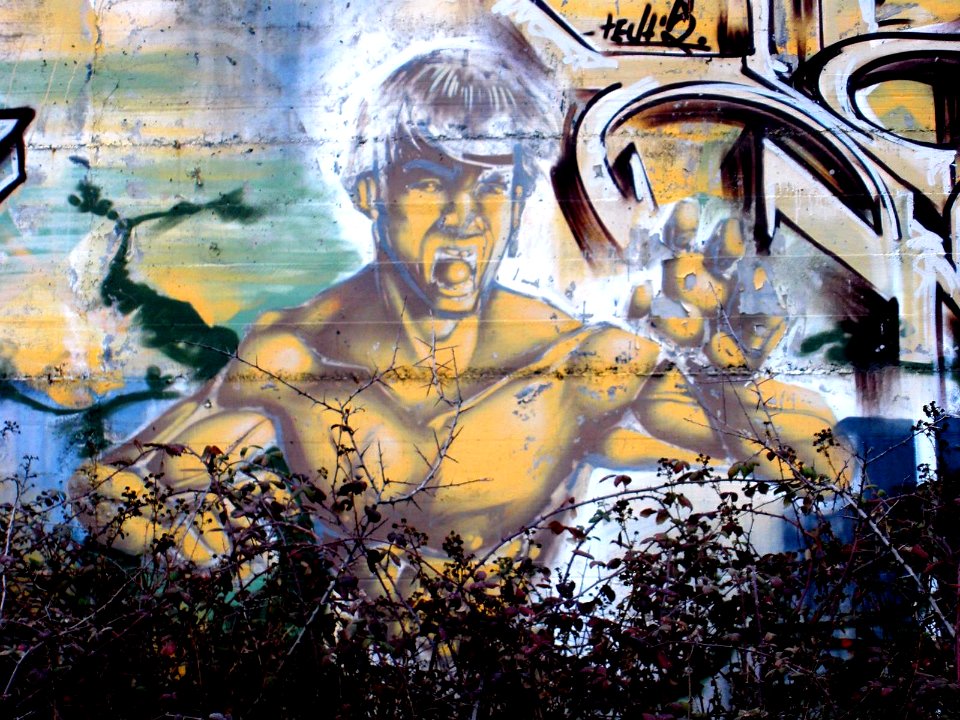 Vitoria - Graffiti & Murals 0748