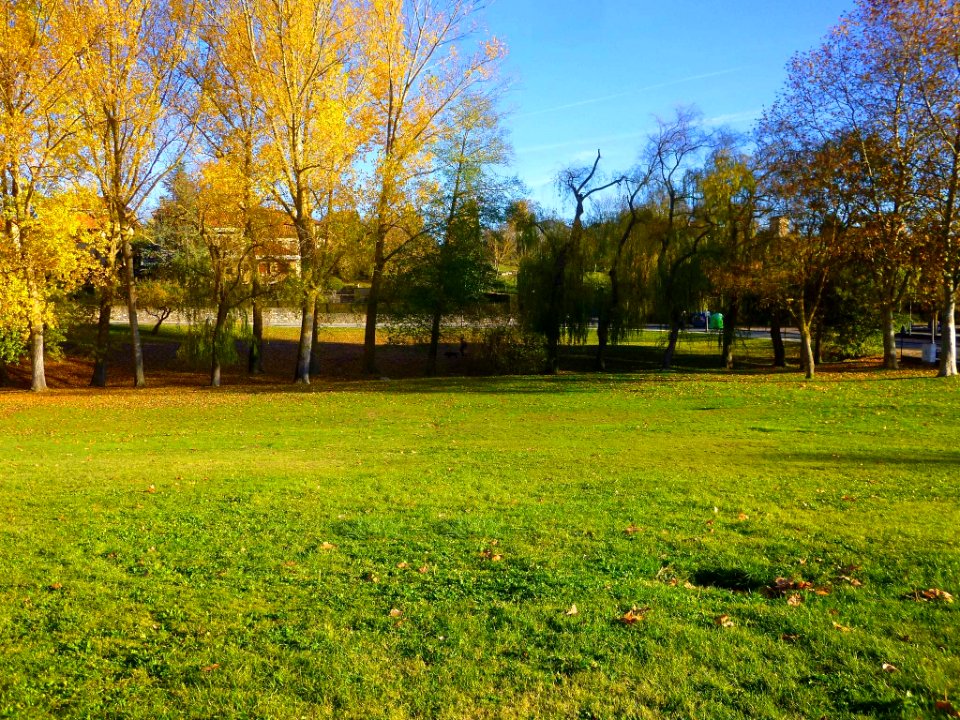 Vitoria - Campas de Armentia en otoño 4