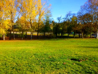 Vitoria - Campas de Armentia en otoño 4
