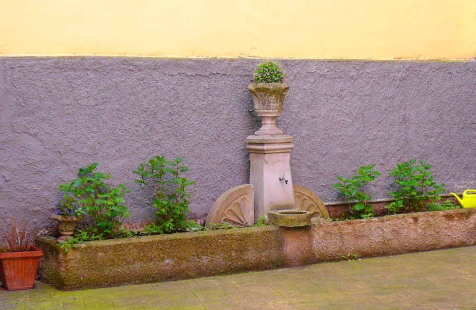 Vitoria - Calle San Prudencio, fuente