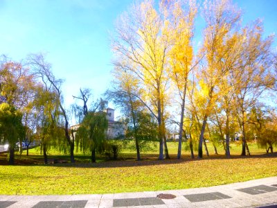 Vitoria - Campas de Armentia en otoño 1