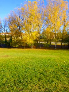 Vitoria - Campas de Armentia en otoño 5