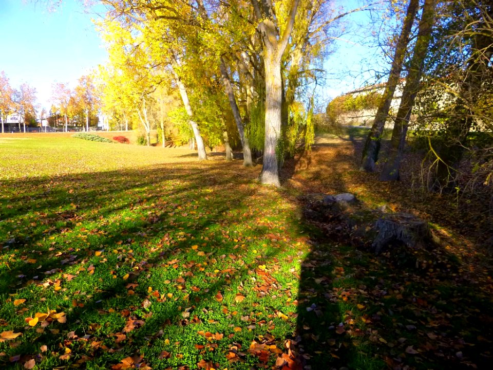 Vitoria - Campas de Armentia en otoño 3