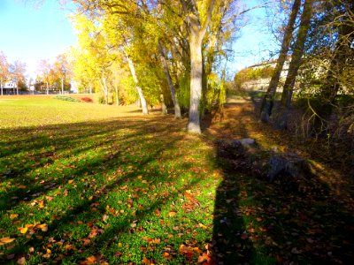Vitoria - Campas de Armentia en otoño 3