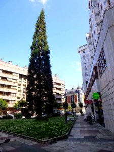 Vitoria - Calle de Bizenta Mogel