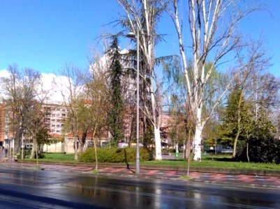 Vitoria - Calle Portal de Arriaga y Parque del Norte