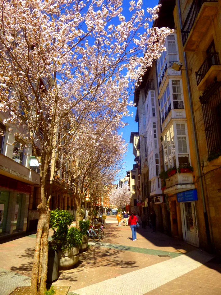 Vitoria - Calle Siervas de Jesús 5