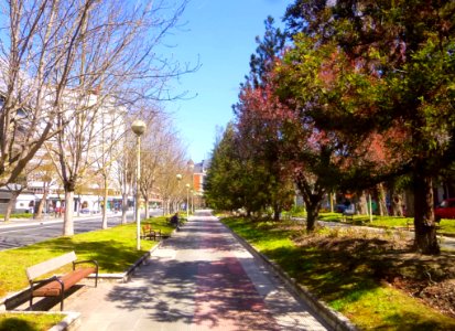 Vitoria - Calle Portal de Castilla